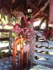 ginger flower arrangement
