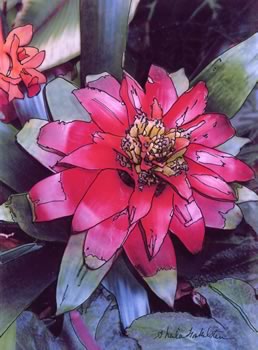 bromeliad