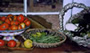 Tomatoes, Green Beans, Eggplant, Chard