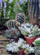 Cactus Garden #2