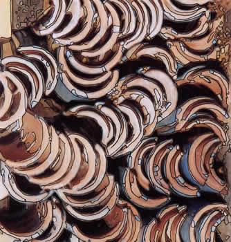 Clay Roof Tiles / Shingles