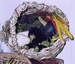 wisteria basket, swiss chard, white eggplant, purple eggplant, okra
