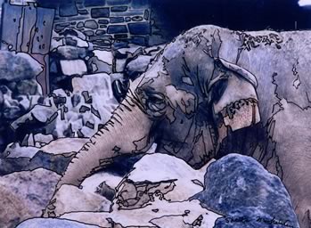 Phila. Zoo - Elephant's Head profile