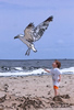 boy and sea gull at beach