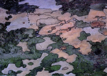 Green Bark - Liberty State Park