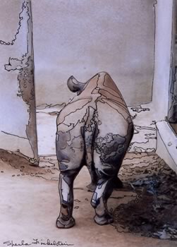 Rhino's Butt - San Diego Zoo