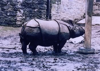 Rhino at Post